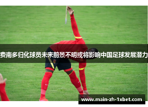 费南多归化球员未来前景不明或将影响中国足球发展潜力 费南多归化球员未来前景不明或将影响中国足球发展潜力